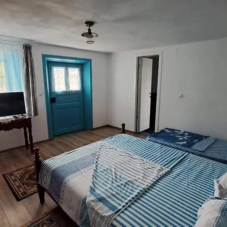 Pensiunea Casa Golovita Guest house Jurilovca