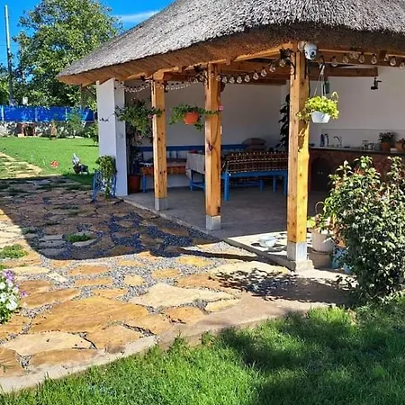 Pensiunea Casa Golovita *