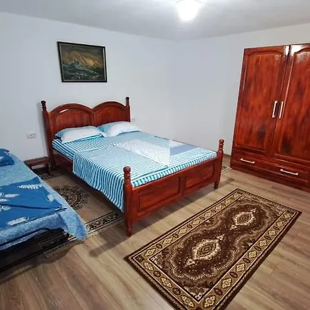 Pensiunea Casa Golovita Guest house