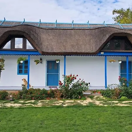 Guest house Pensiunea Casa Golovita Jurilovca