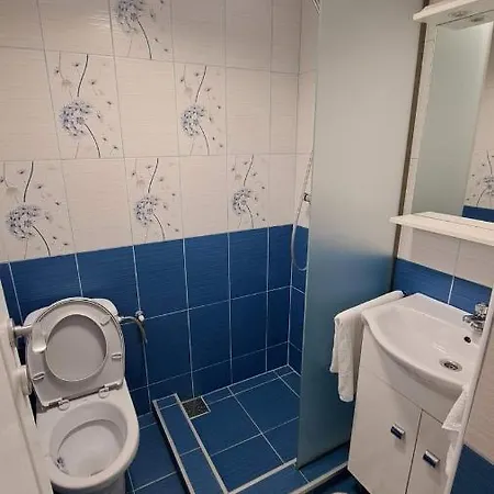 Pensiunea Casa Golovita Guest house