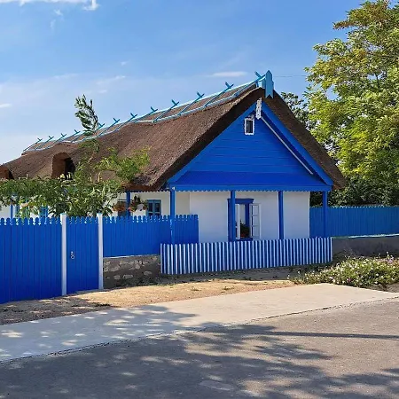 Pensiunea Casa Golovita Guest house