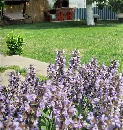 Pensiunea Casa Golovita Guest house