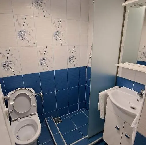 Pensiunea Casa Golovita Guest house